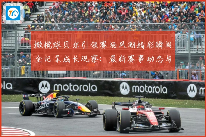橄榄球贝尔引领赛场风潮精彩瞬间全记录成长观察：最新赛事动态与深度分析
